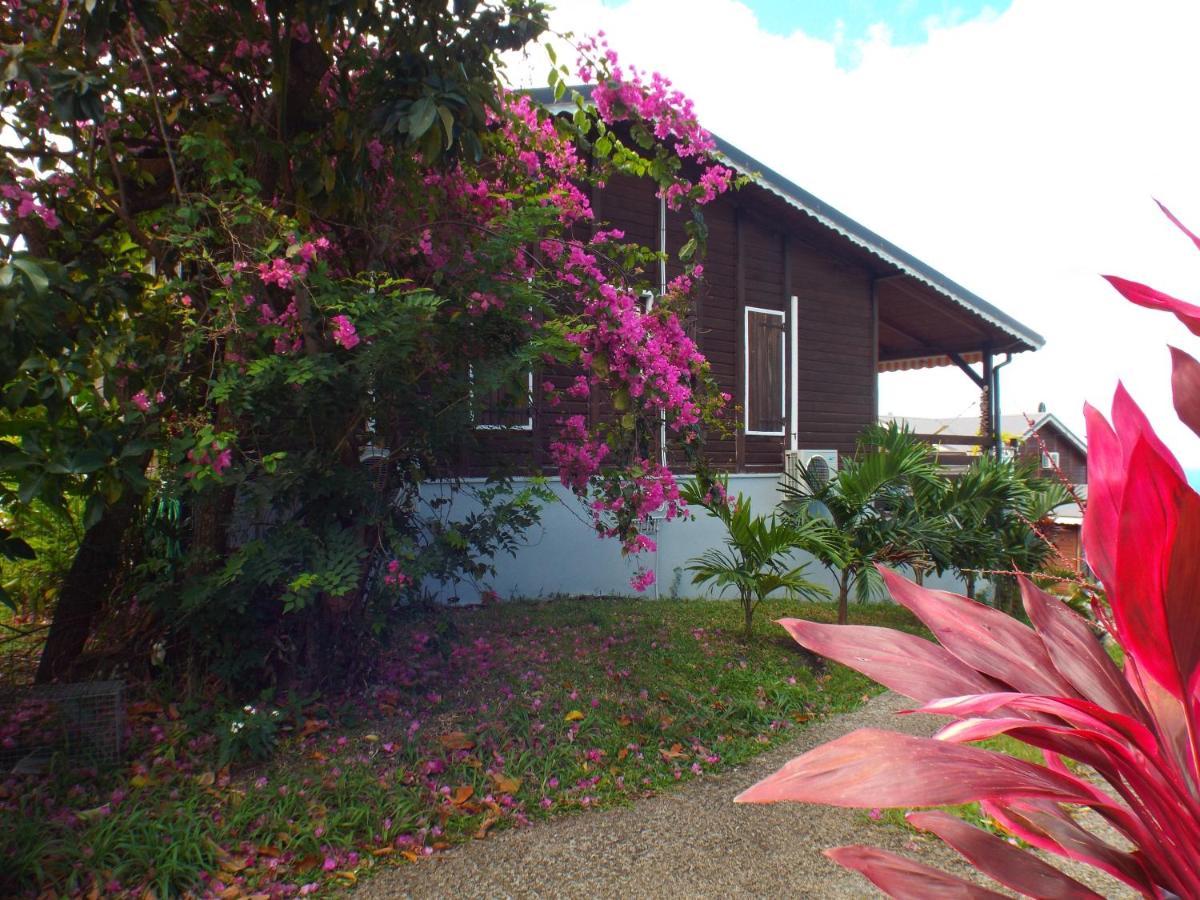 Lesvillasdetisource Violette Villa